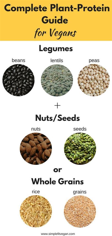 Complete Protein Guide for Vegans | Use this quick and easy guide to ... 