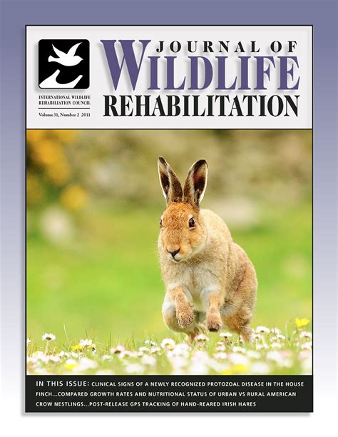 Journal Of Wildlife Rehabilitation International Wildlife Rehabilitation Council