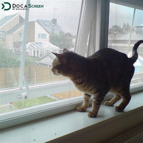 Snapklik.com : DOCA 84 In X 96 In Pet Screen Mesh - Window Screen