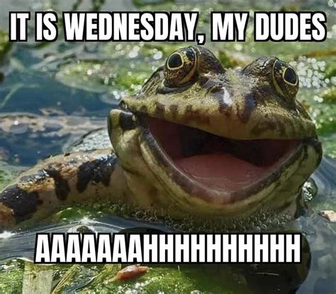 A Happy Wednesday For All The Dudes 9gag