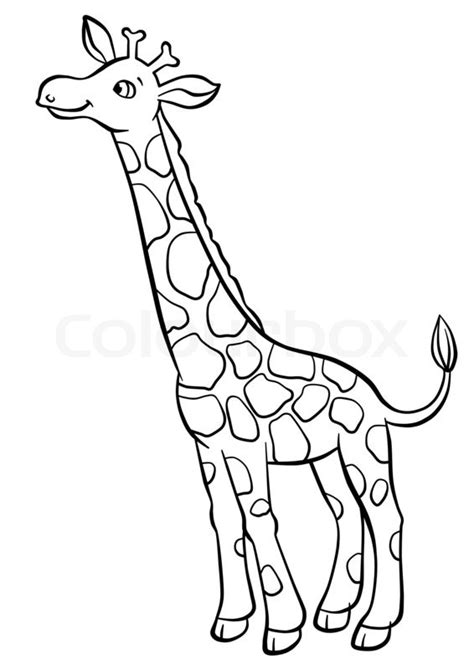 Line Drawing Giraffe At Getdrawings Free Download