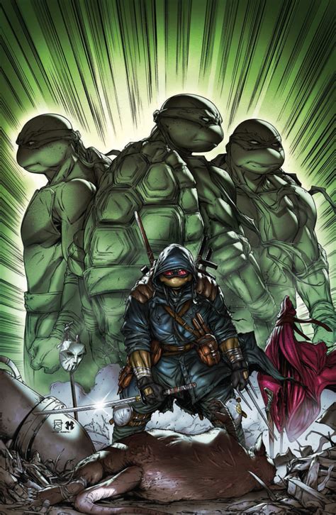 Ninja Turtles (Ronin-verse) | TMNTPedia | Fandom