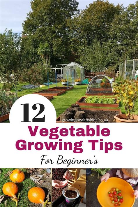 Awesome tips for your first vegetable garden – Artofit