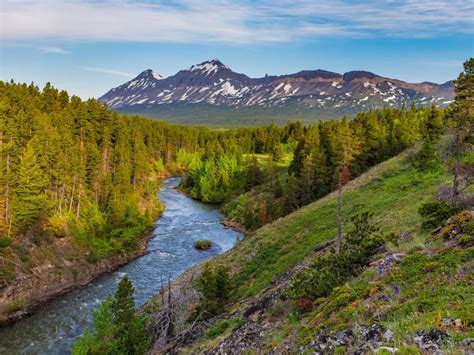 Road Trip From Glacier National Park To Yellowstone