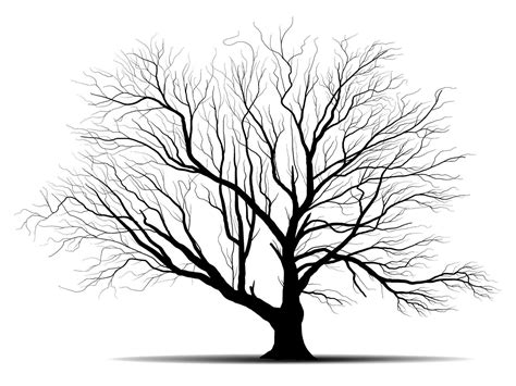 Black Branch Tree Or Naked Trees Silhouettes Hand Drawn Isolated