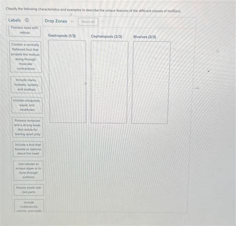 Solved Classify The Following Characteristics To Chegg