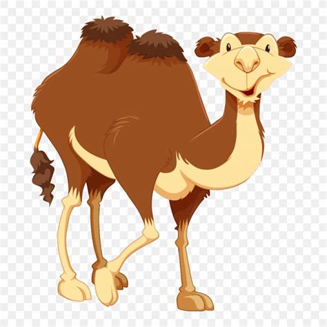 Bactrian Camel Cartoon Clip Art, PNG, 1000x1000px, Bactrian Camel ...