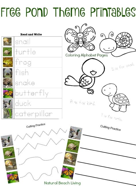 Pond Theme Activities Stem Free Printables