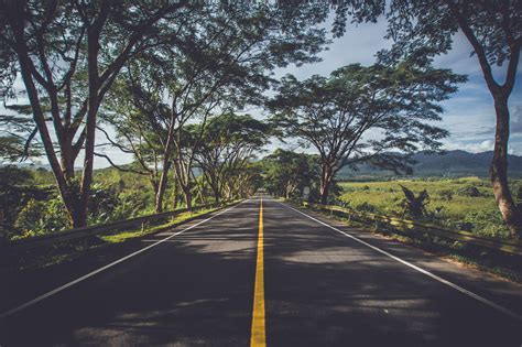 Free stock photo of forest, highway, road