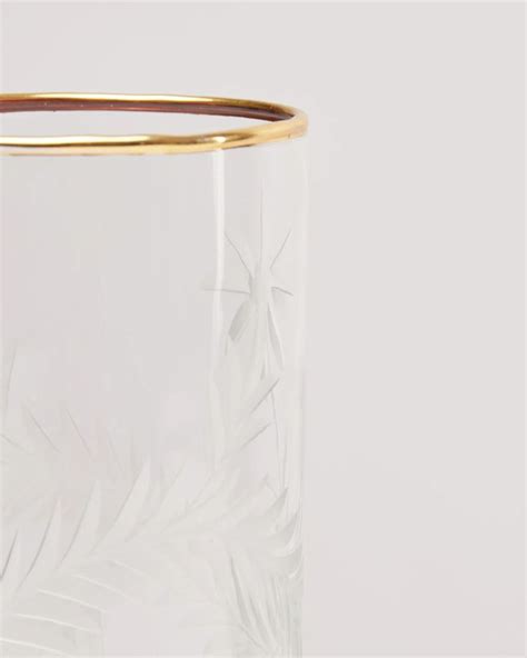 Etched Clear Glass High Ball Tumbler Oliver Bonas Clear Glass