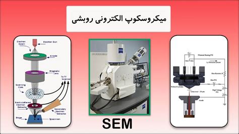 میکروسکوپ الکترونی چیست؟ انواع میکروسکوپ الکترونی 4 مدل