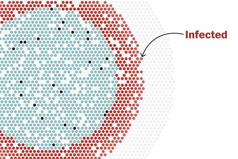 How To Slow Epidemics Like Covid Washington Post