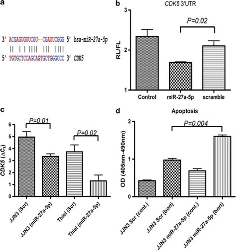 Bortezomib Action In Multiple Myeloma Microrna Mediated Synergy And