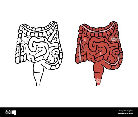 Intestines Doodle Vector Illustration Digestive System Cartoon Icons