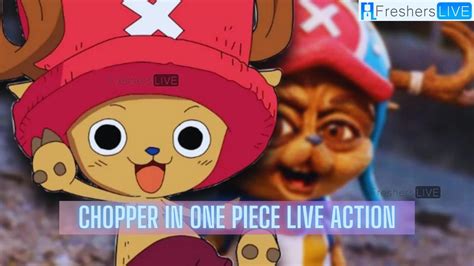 Who Is Chopper In One Piece Live Action Who Plays Chopper In One Piece