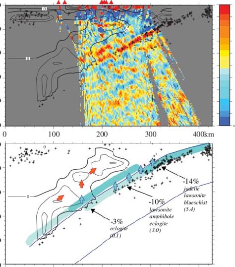 Integrated Seismic Images Beneath The Tohoku Subduction Zone And A