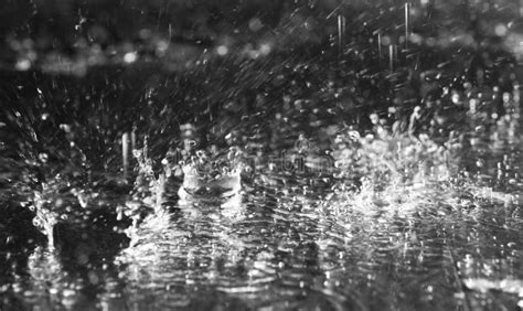 Heavy Rain Falling Down On Ground Against Dark Stock Image Image Of