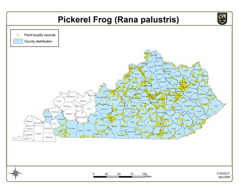 Pickerel Frog - Kentucky Department of Fish & Wildlife