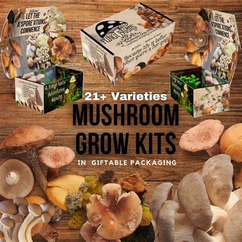 Pink Oyster Mushroom Growing Kit Pleurotus Djamor Diy Etsy