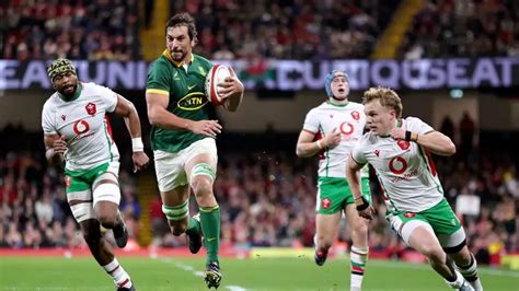 Wales Vs South Africa Springboks Seal Perfect Autumn Test Series With