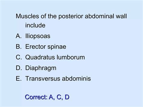 Posterior Abdominal Wall Ppt