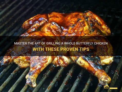 Master The Art Of Grilling A Whole Butterfly Chicken With These Proven Tips Shungrill