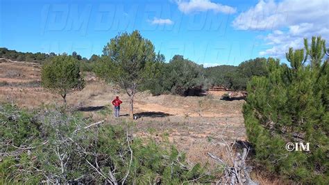 La Taula Del S Nia Finalitza Els Treballs A Benicarl Amb El Camp De