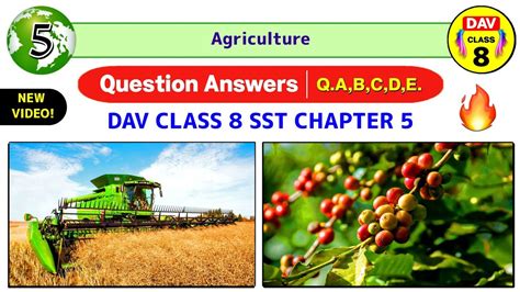 Agriculture Dav Class 8 Sst Chapter 5 Question Answer Dav Public