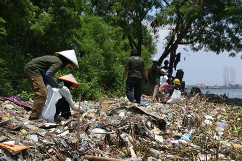 Tiap Hari Kg Sampah Diangkut Dari Pesisir Jakarta Ipol Id