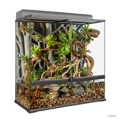 How to set up a bioactive terrarium - Exo Terra