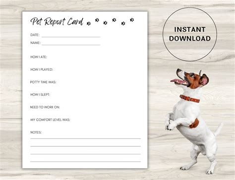 Pet Report Card Printable For Pet Sitter Business Dog Report Etsy Uk