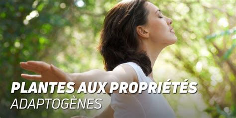 Adaptogènes Des plantes aux propriétés anti stress HSN Blog