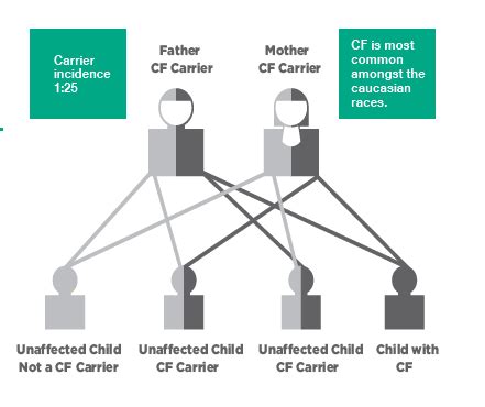 About CF | Cystic Fibrosis WA