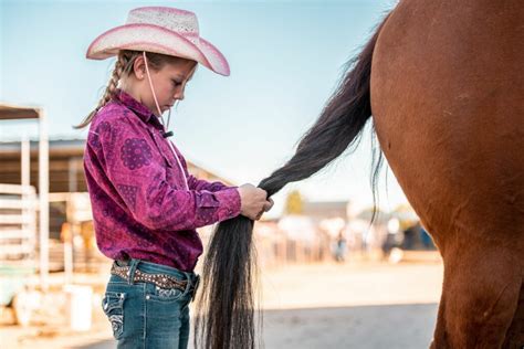 Horse Mane Braiding Demystified (Tools, Types, FAQs) - Horse Rookie