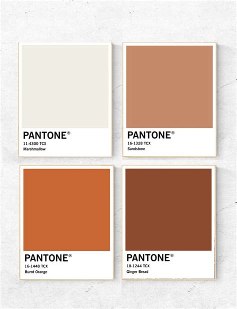 Pantone Brown Stone Pantone Colour Palettes Pantone Pantone Color