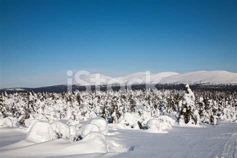 Lapland, Finland Stock Photo | Royalty-Free | FreeImages