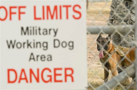 Military Working Dog Handlers Come Together For Joint Competition Air