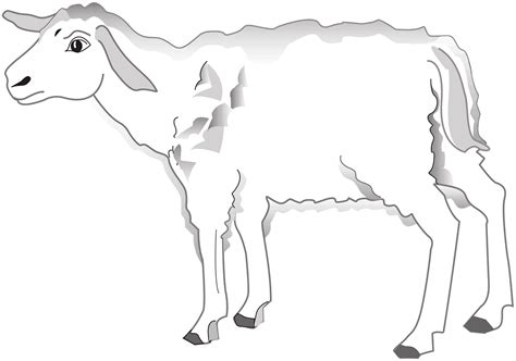 Lamb Clipart - ClipartLib.Com