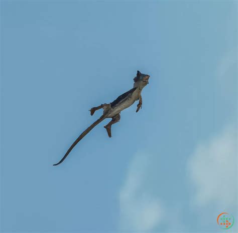 Lizard-like Creature Flying | Artificial Design