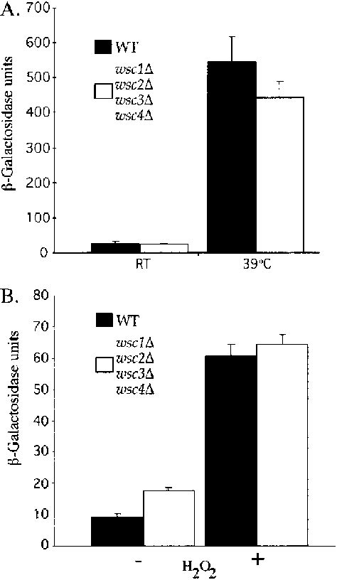 A B E Ect Of Deletion Of The Wsc Genes On Expression Of The Reporter