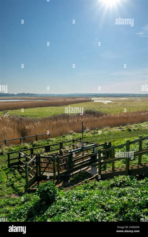 Wetland Marshes Holkham National Nature Reserve Stock Photo Alamy