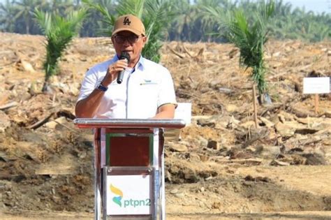 PTPN II Berikan Penghargaan Medali Jubellium Pada 2 539 Karyawan Dan