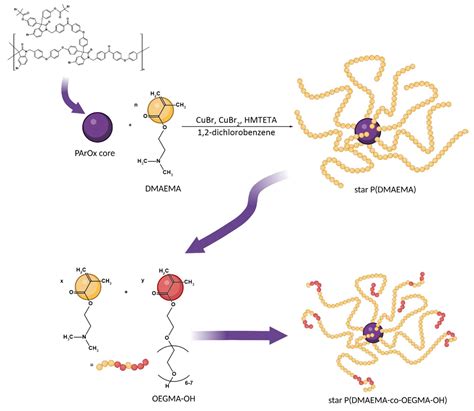 Polymers Free Full Text Quaternized Poly N N Dimethylaminoethyl