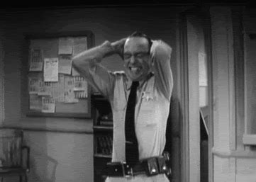 Funny Barney Fife Gifs