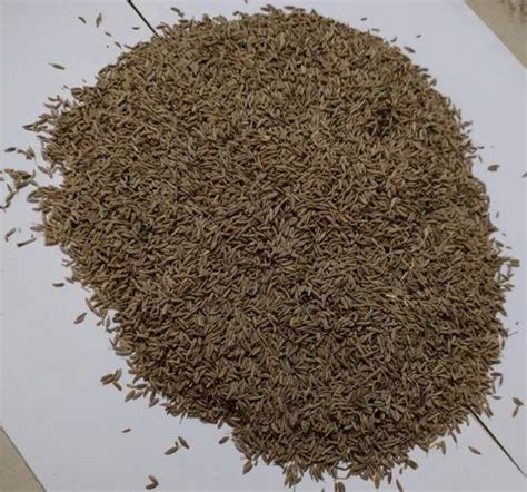 Brown Cumin Seeds Packaging Type Loose At Rs 800 Kg In Noida ID