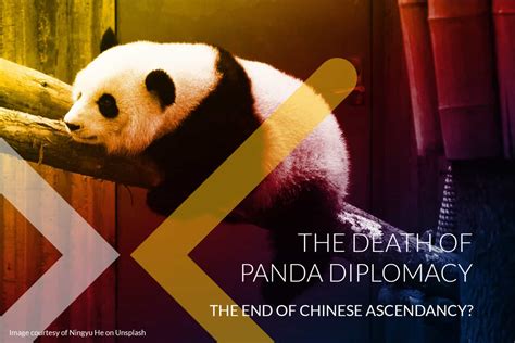 The Death of Panda Diplomacy? - Radix Think Tank