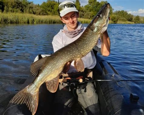 Votre Record Brochet Pour L Ouverture Les Meilleurs Moyens D Y Parvenir