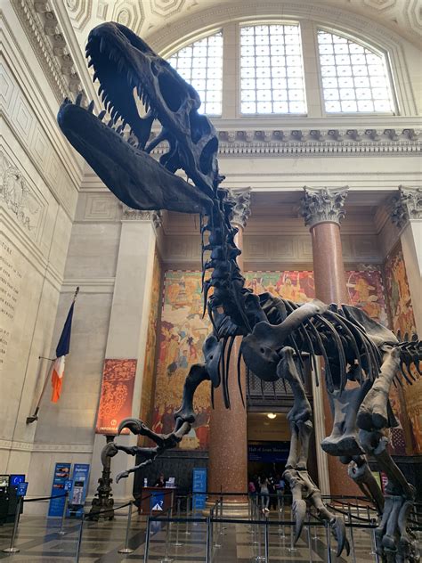 Visiting the smithsonian national museum of natural history in