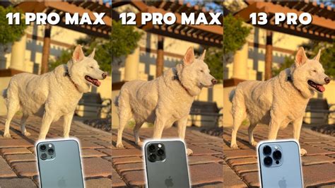 Iphone Pro Vs Iphone Pro Max Vs Iphone Pro Max Camera