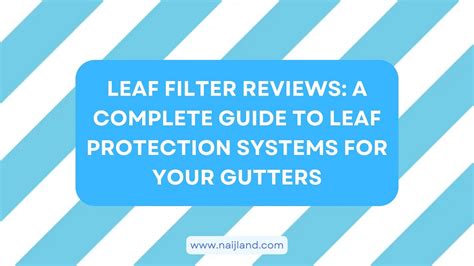 Leaf Filter Reviews: A Complete Guide to Leaf Protection Systems for ...